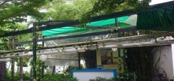 Mái che di động điểm nhấn nhẹ nhàng mà tinh tế cho không gian